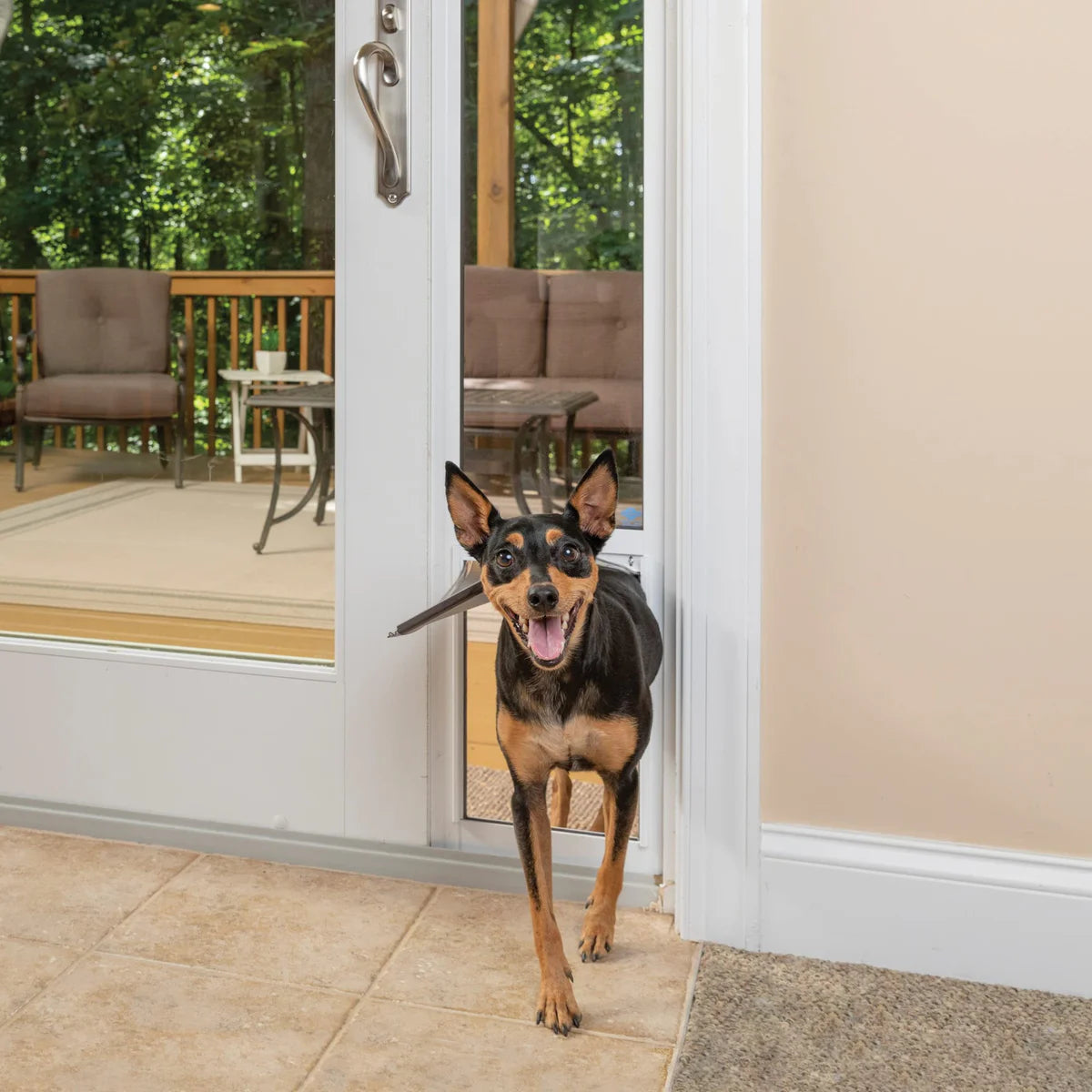 PetSafe Sliding Glass Pet Door with Flap